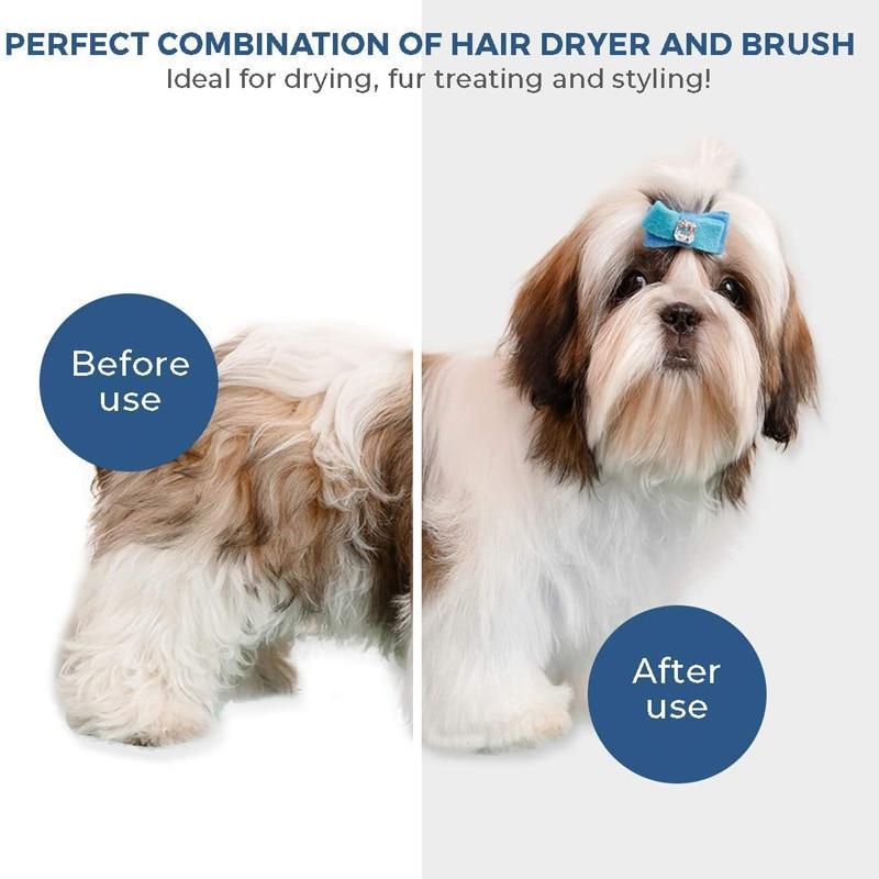 2-in-1 Pet Dryer & Comb