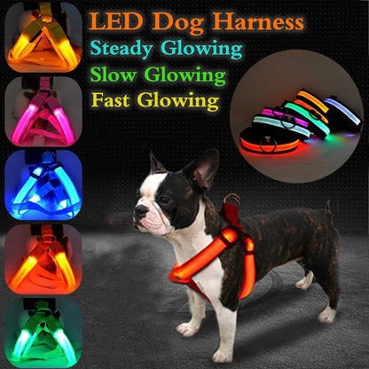 LED Pet Safety Harness