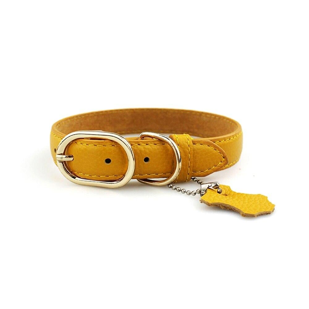 Genuine Leather Dog Collar with Hangtag