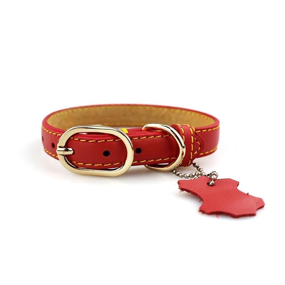 Genuine Leather Dog Collar with Hangtag