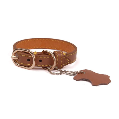 Genuine Leather Dog Collar with Hangtag