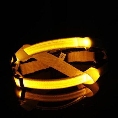 LED Pet Safety Harness